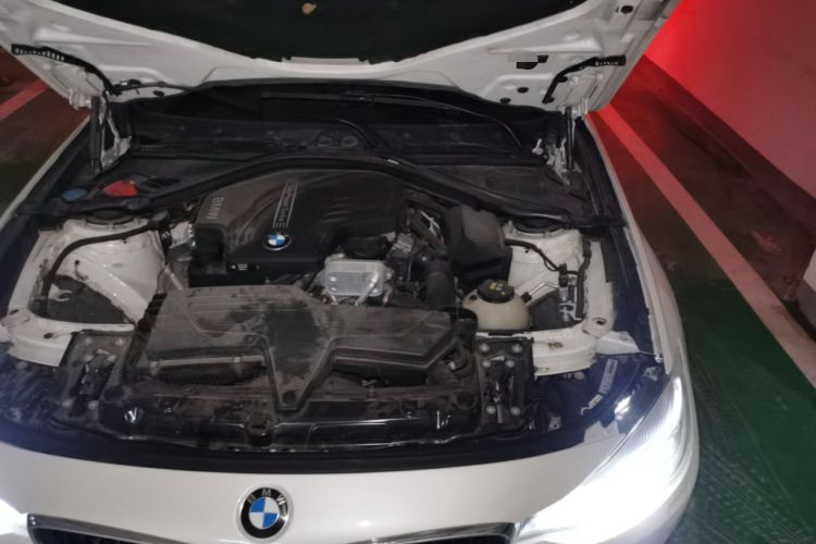 Used BMW 3 Series GT 2016 320i Fashion Model Engine Bay Left