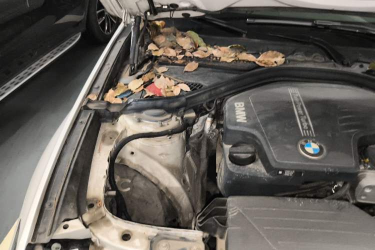 Used BMW 3 Series GT 2016 328i Design Package Model Engine Bay Right