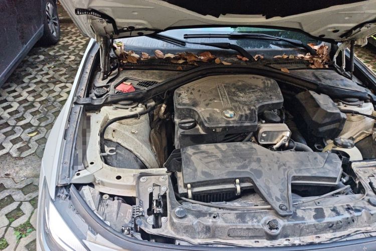 Used BMW 3 Series GT 2016 320i Fashion Model Engine Bay Right
