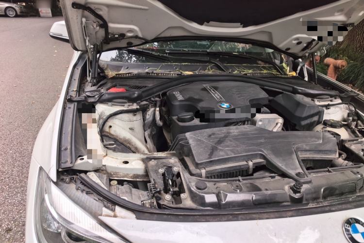 Used BMW 3 Series GT 2016 320i Fashion Model Engine Bay Right
