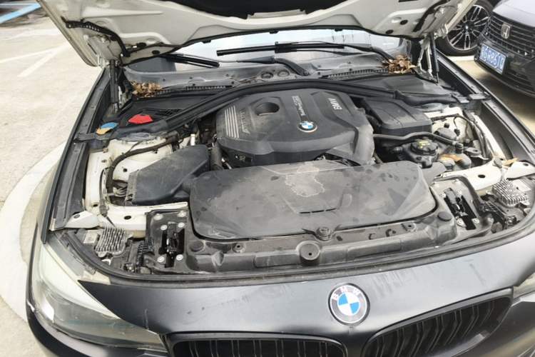 Used BMW 3 Series GT 2017 320i Luxury Design Package Engine Bay Right
