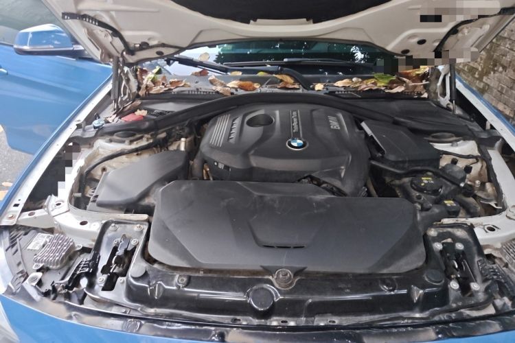 Used BMW 3 Series GT 2017 320i Sport Edition Engine Bay