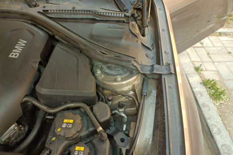 Used BMW 3 Series GT 2017 320i Sport Edition Engine Bay Left