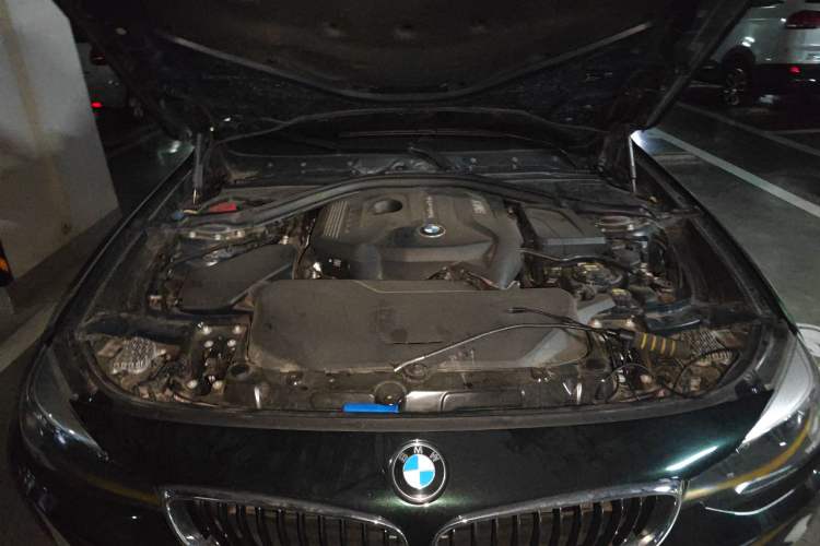 Used BMW 3 Series GT 2017 320i Sport Edition Engine Bay
