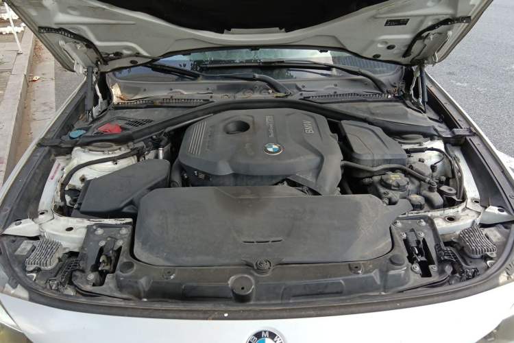 Used BMW 3 Series GT 2017 320i Sport Edition Engine Bay