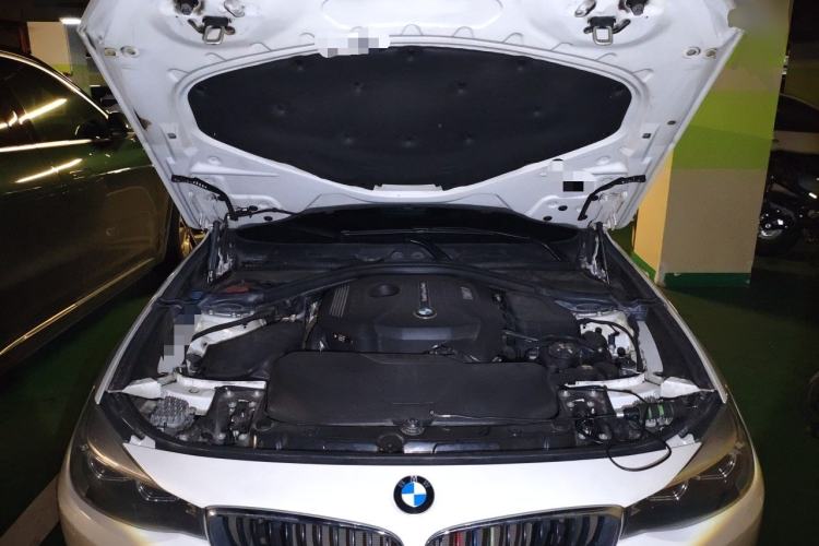 Used BMW 3 Series GT 2017 320i Sport Edition Engine Bay