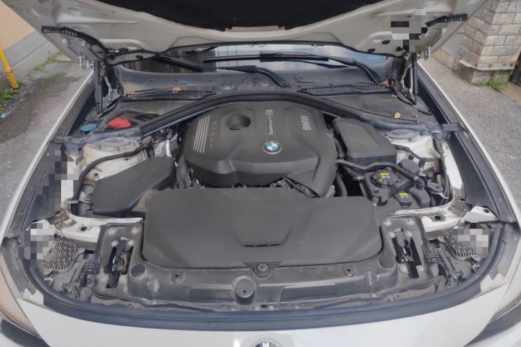Used BMW 3 Series GT 2017 320i Sport Edition Engine Bay