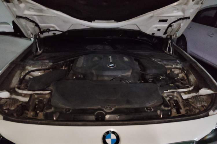 Used BMW 3 Series GT 2017 320i Sport Edition Engine Bay