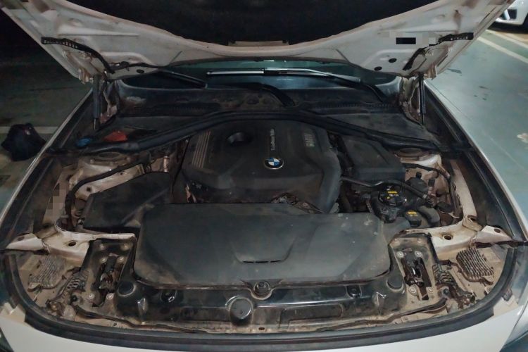 Used BMW 3 Series GT 2017 320i Sport Edition Engine Bay