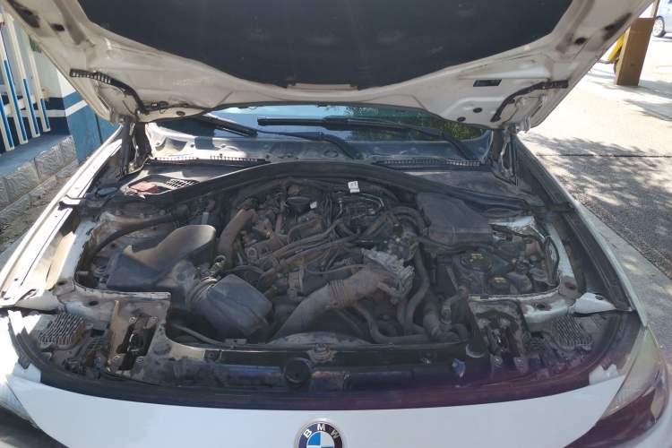 Used BMW 3 Series GT 2017 320i Sport Edition Engine Bay