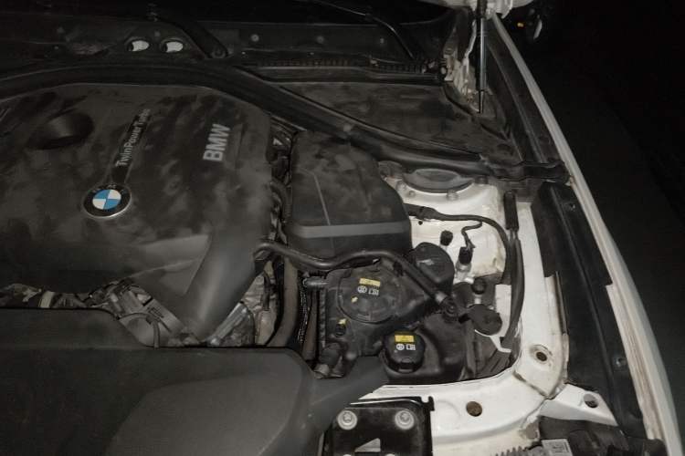 Used BMW 3 Series GT 2017 320i Sport Edition Engine Bay Left