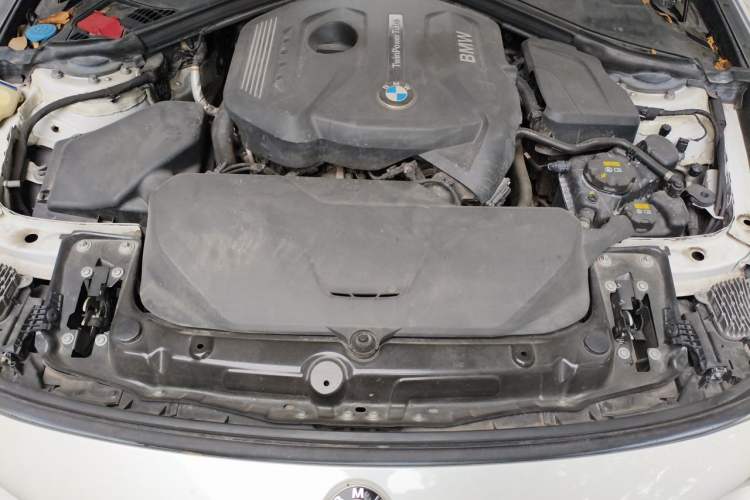 Used BMW 3 Series GT 2017 320i Sport Edition Engine Bay