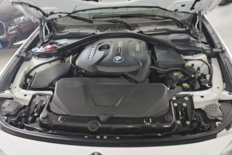 Used BMW 3 Series GT 2017 320i Sport Edition Engine Bay