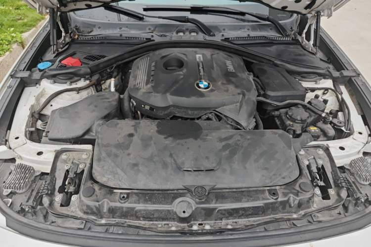 Used BMW 3 Series GT 2017 320i Sport Edition Engine Bay