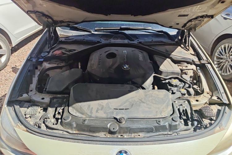 Used BMW 3 Series GT 2017 320i Sport Edition Engine Bay