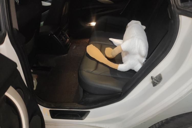 Used BMW 3 Series GT 2017 320i Sport Edition Left Rear Seat
