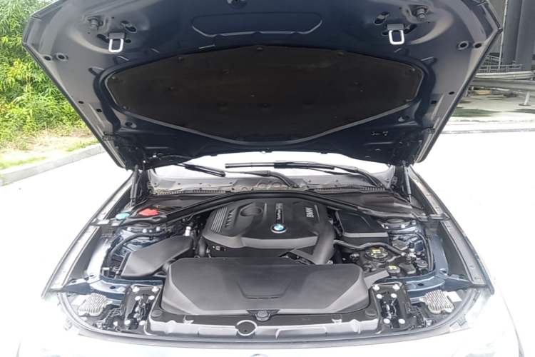 Used BMW 3 Series GT 2018 320i Sport Edition Engine Bay