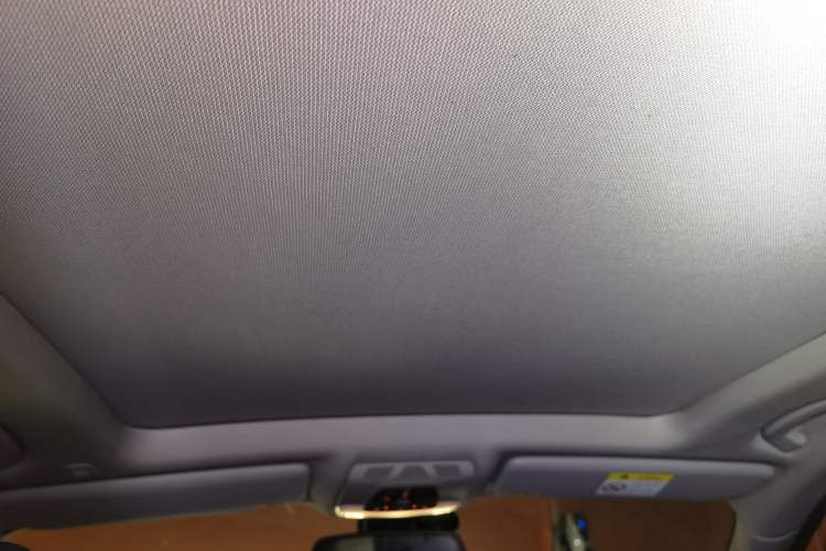 Used BMW 3 Series GT 2018 320i Sport Edition Headliner