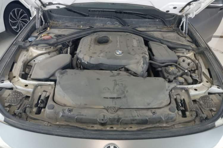 Used BMW 3 Series GT 2018 320i Sport Edition Engine Bay
