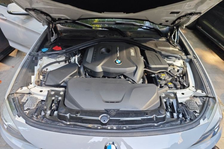 Used BMW 3 Series GT 2018 320i Sport Edition Engine Bay