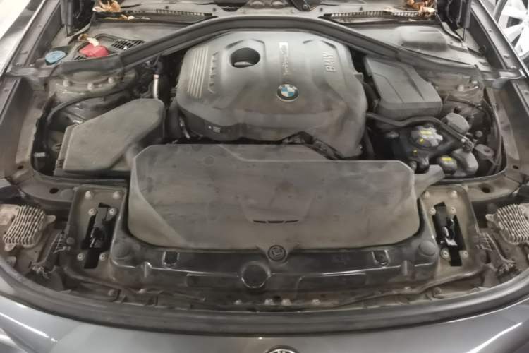 Used BMW 3 Series GT 2018 320i Sport Edition Engine Bay
