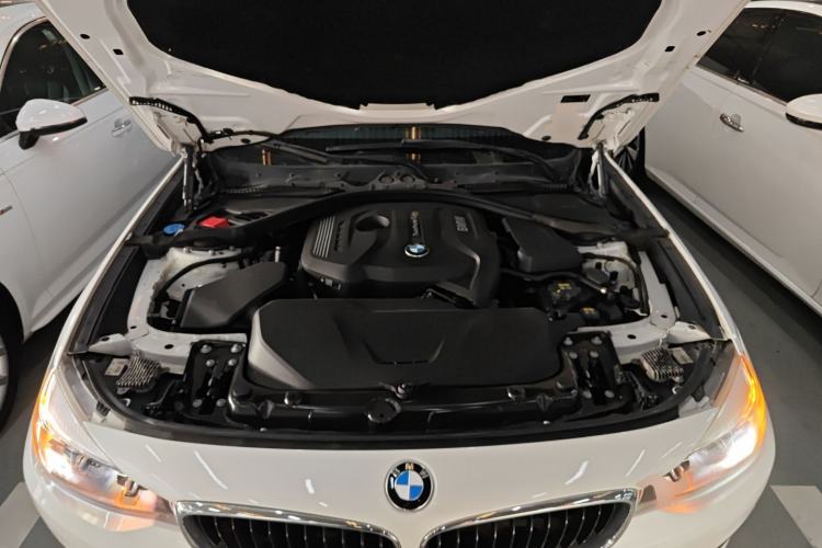 Used BMW 3 Series GT 2018 320i Sport Edition Engine Bay