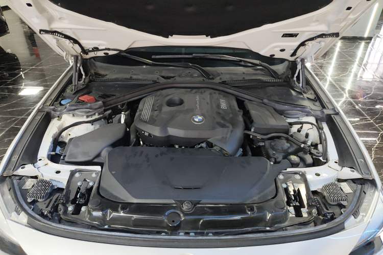 Used BMW 3 Series GT 2018 320i Sport Edition Engine Bay
