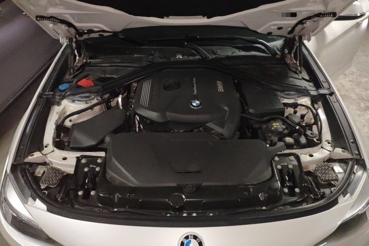 Used BMW 3 Series GT 2018 320i Sport Edition Engine Bay