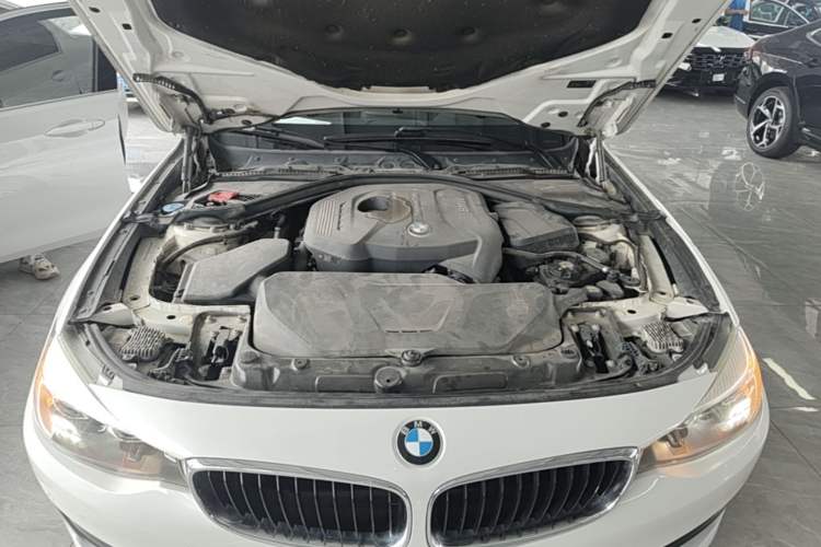 Used BMW 3 Series GT 2018 320i Sport Edition Engine Bay