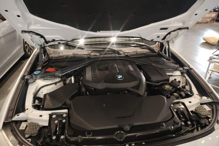 Used BMW 3 Series GT 2018 320i Sport Edition Engine Bay