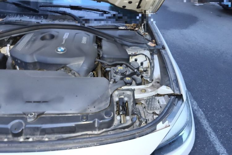 Used BMW 3 Series GT 2018 320i Sport Edition Engine Bay Left