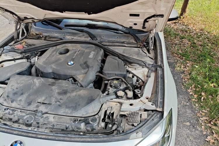 Used BMW 3 Series GT 2018 320i Sport Edition Engine Bay Left