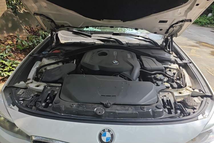Used BMW 3 Series GT 2018 320i Sport Edition Engine Bay