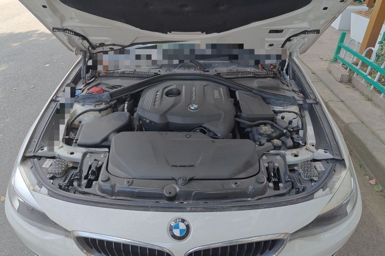 Used BMW 3 Series GT 2018 320i Sport Edition Engine Bay