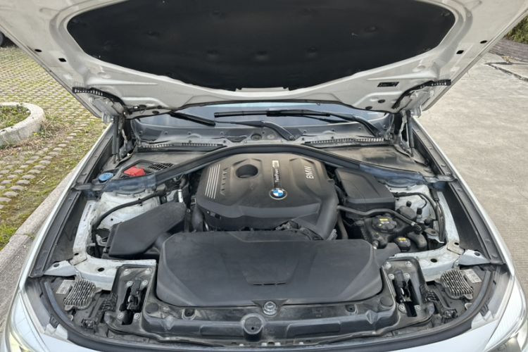 Used BMW 3 Series GT 2018 320i Sport Edition Engine Bay