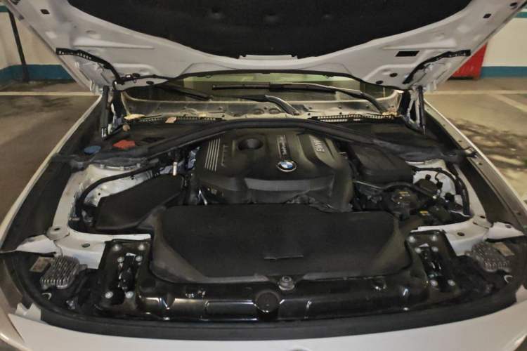 Used BMW 3 Series GT 2018 320i Sport Edition Engine Bay