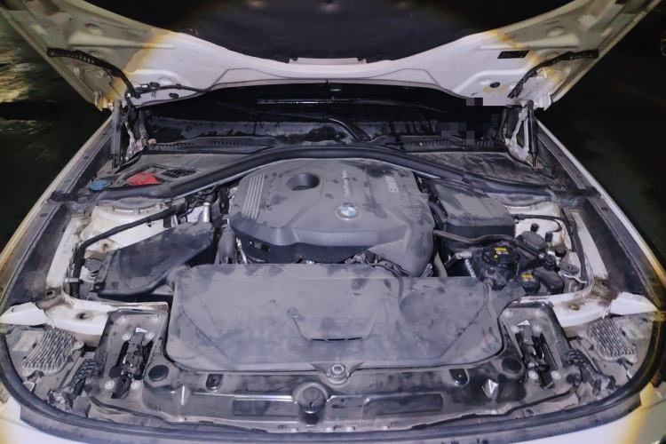 Used BMW 3 Series GT 2018 320i Sport Edition Engine Bay