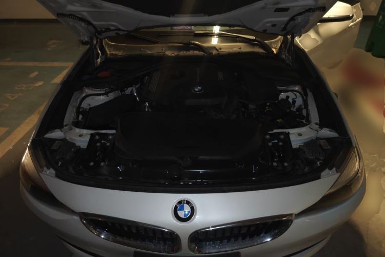Used BMW 3 Series GT 2018 320i Sport Edition Engine Bay