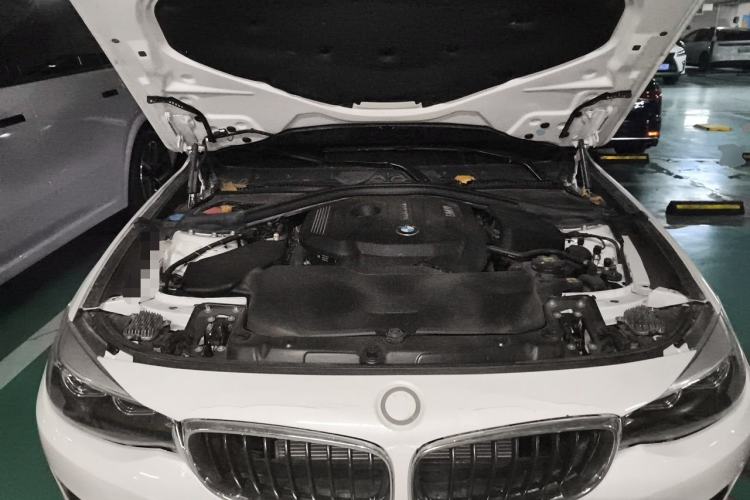 Used BMW 3 Series GT 2018 320i Sport Edition Engine Bay