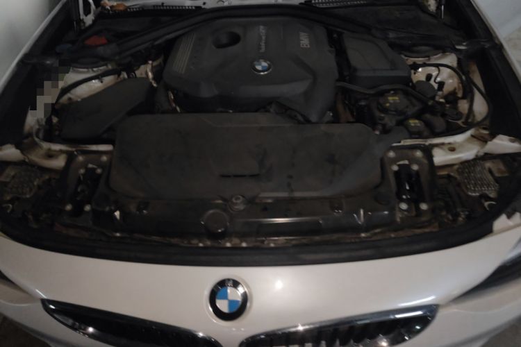 Used BMW 3 Series GT 2018 320i Sport Edition Engine Bay