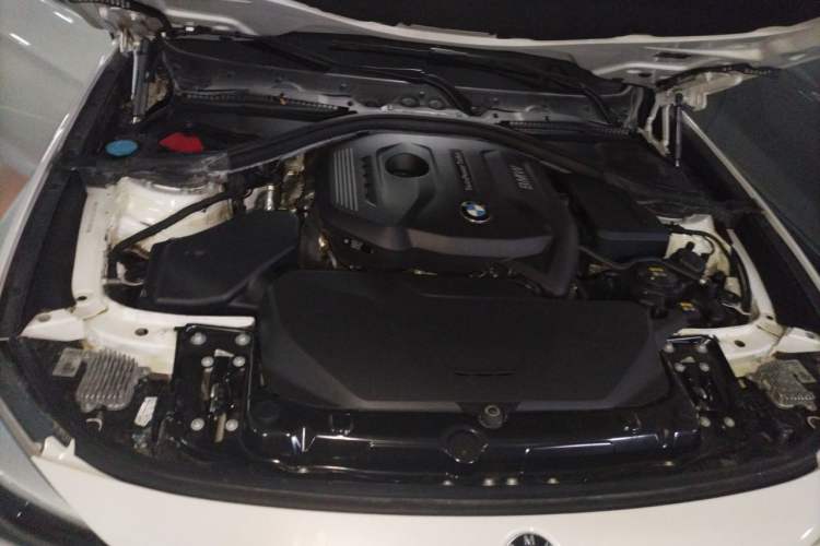 Used BMW 3 Series GT 2018 320i Sport Edition Engine Bay