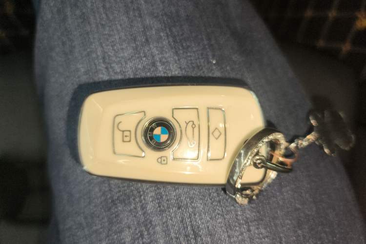 Used BMW 3 Series GT 2018 320i Sport Edition Vehicle Key