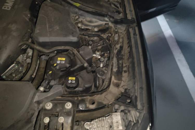 Used BMW 3 Series GT 2019 320i M Sport Night Edition Engine Bay Left