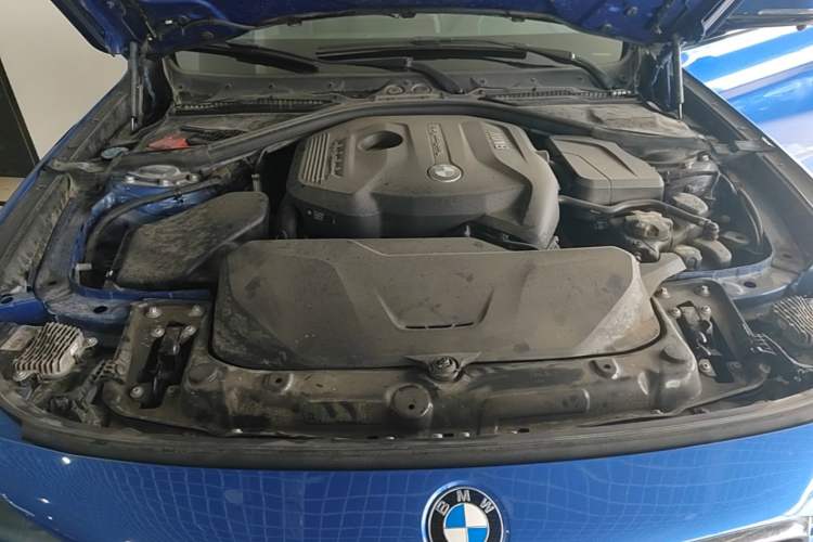 Used BMW 3 Series GT 2019 320i M Sport Package Engine Bay