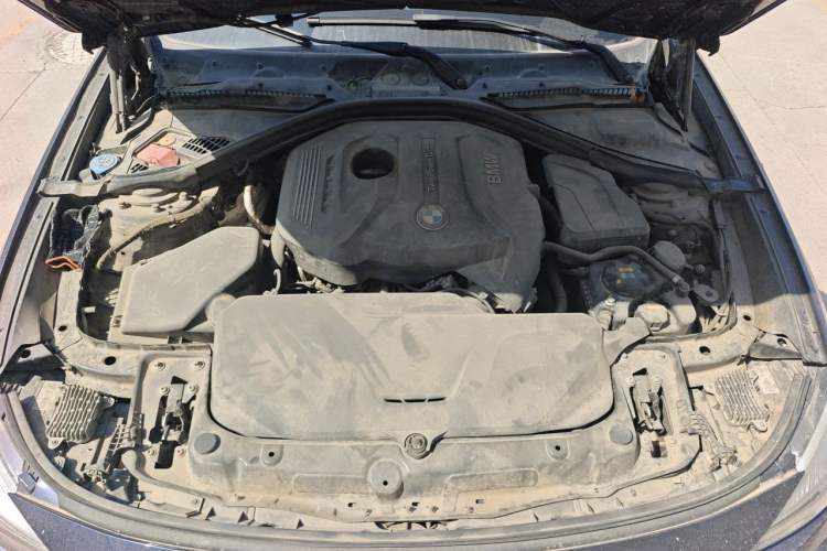 Used BMW 3 Series GT 2019 320i Sport Edition Engine Bay