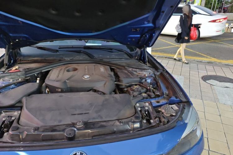 Used BMW 3 Series GT 2019 320i M Sport Engine Bay Left