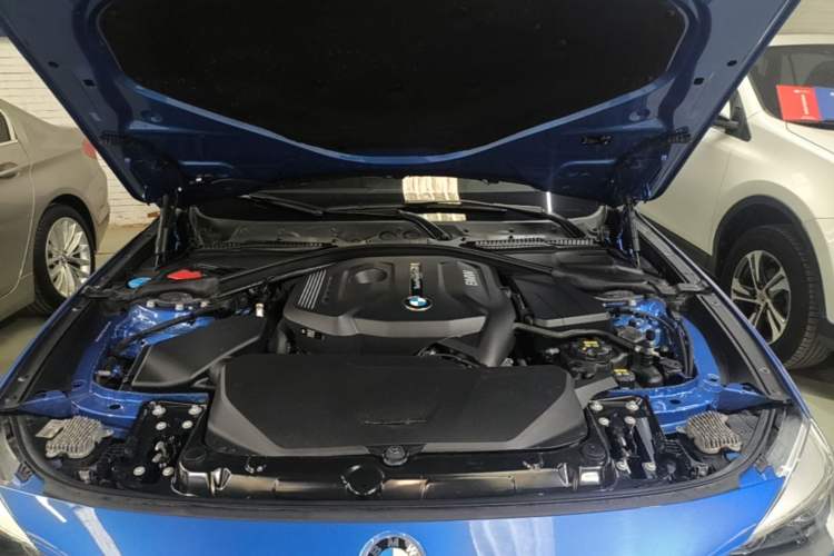 Used BMW 3 Series GT 2019 320i M Sport Package Engine Bay