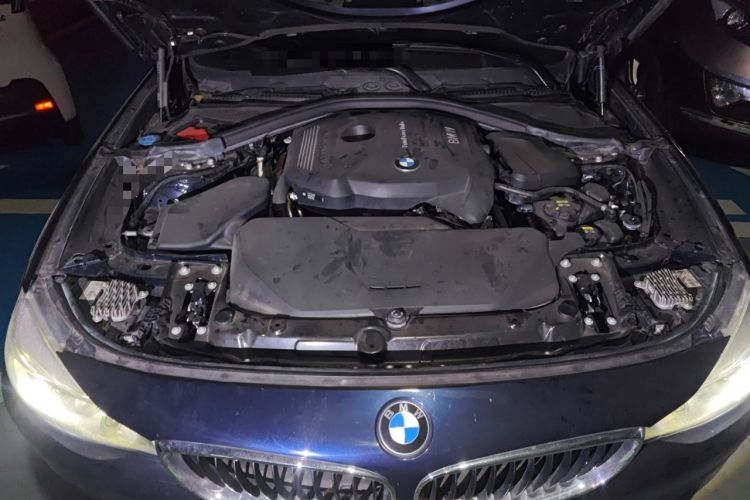Used BMW 3 Series GT 2019 320i Sport Edition Engine Bay