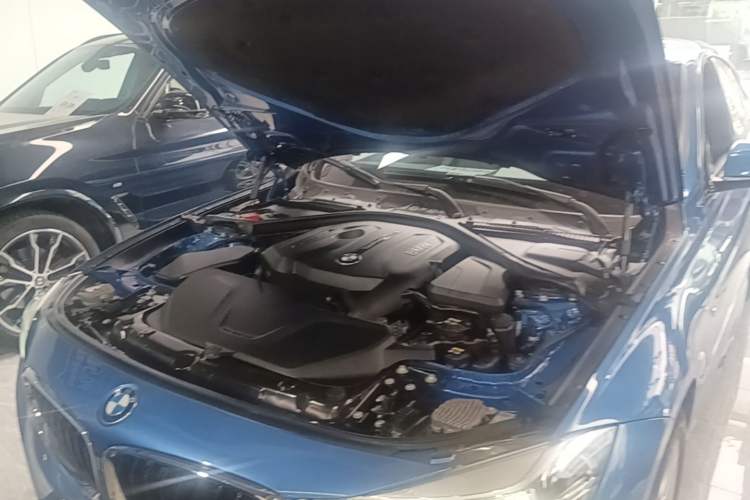 Used BMW 3 Series GT 2019 320i M Sport Package Engine Bay