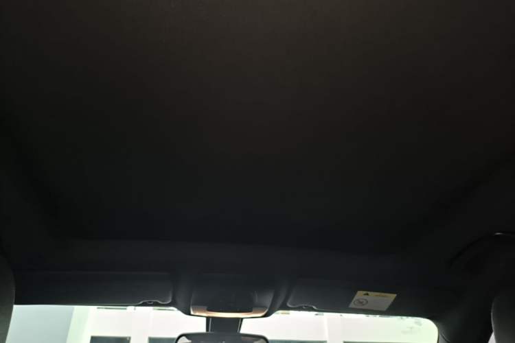 Used BMW 3 Series GT 2019 320i M Sport Package Headliner
